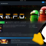 Jugar en Linux con Steam